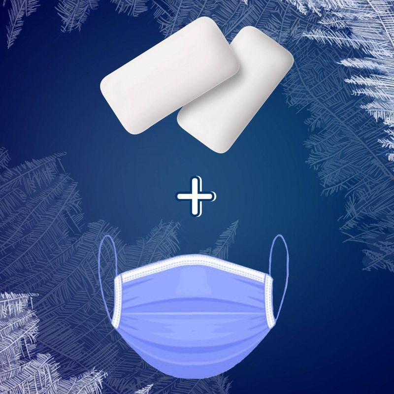 Wrigley's 5 Wintermint Ascent Sugarfree Gum Multipack - 45ct