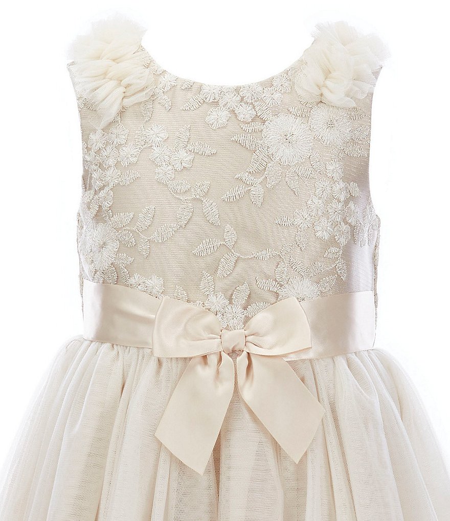 Bonnie Jean Toddler Girls 2T-4T Embroidered/Mesh Ballerina Dress