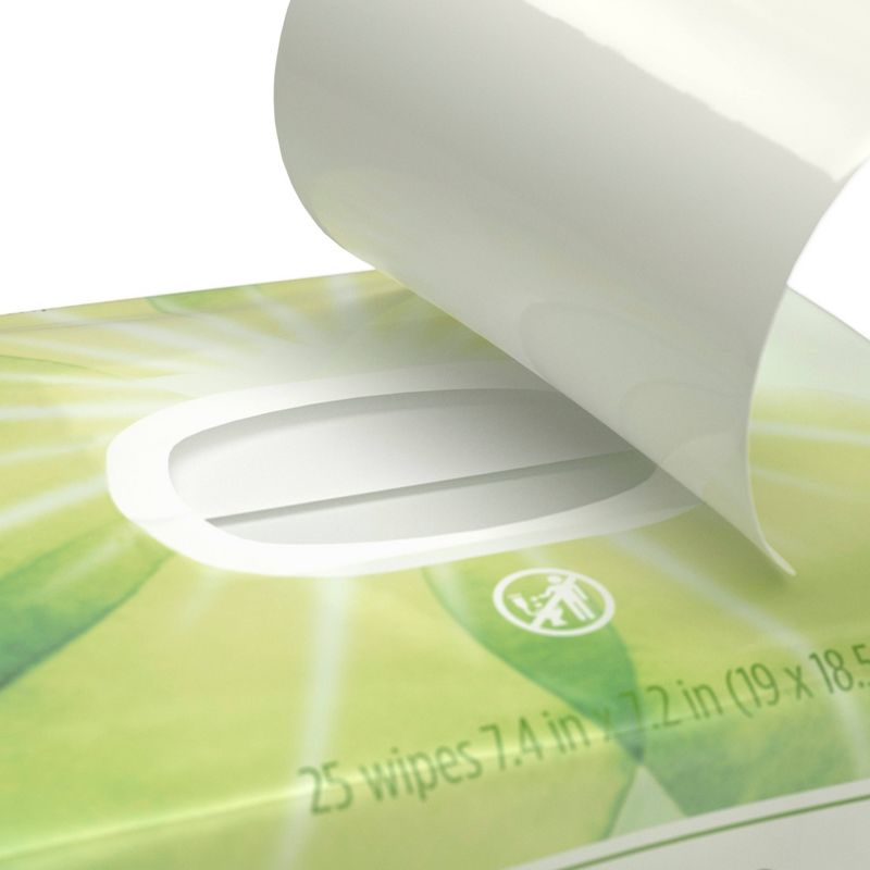 Aveeno Positively Radiant Oil Free Makeup Removing Wipes - 25ct