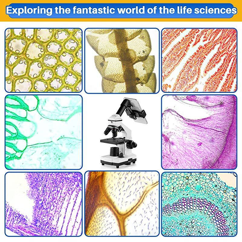 Microscopes for Kids Students Adults with Microscope Slides Set Phone Adapter Powerful Biological Microscopes for School Laboratory Home Science Education