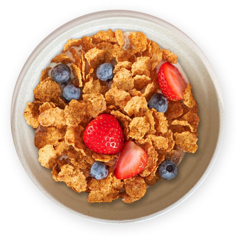 Matter 100% Compostable Fiber Bowls - 20ct