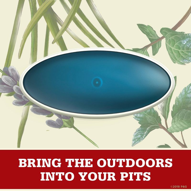 Old Spice Fresher Collection Wilderness Invisible Solid Antiperspirant & Deodorant - 2.6oz