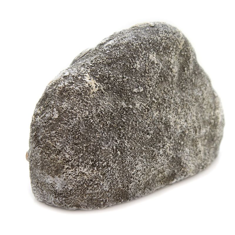 Home & Garden 5.5" Butterfly Pebble Stone Textured Flowers Roman, Inc  -  Outdoor Sculptures And Statues