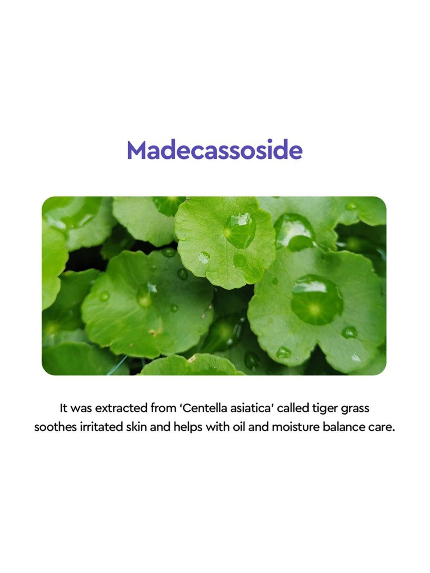 Dewytree Moisture Charging Collagen Toner - 200 ml