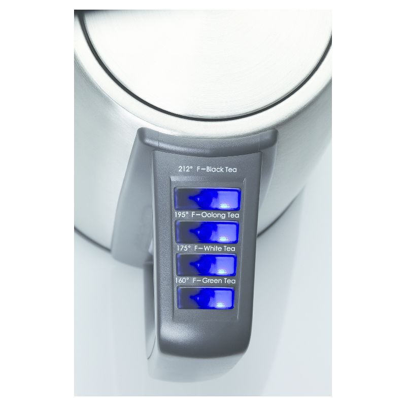 Capresso 4 Temperature Electric Water Kettle H2O Steel PLUS - Stainless Steel 278.05