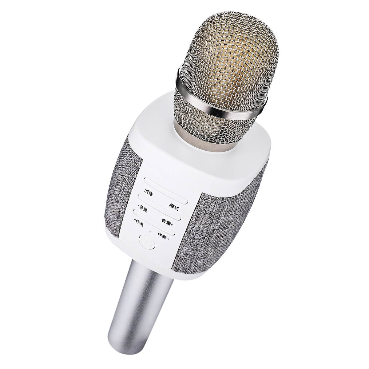 bluetooth Wireless Microphone Speaker for Recording Voice for Karaoke
