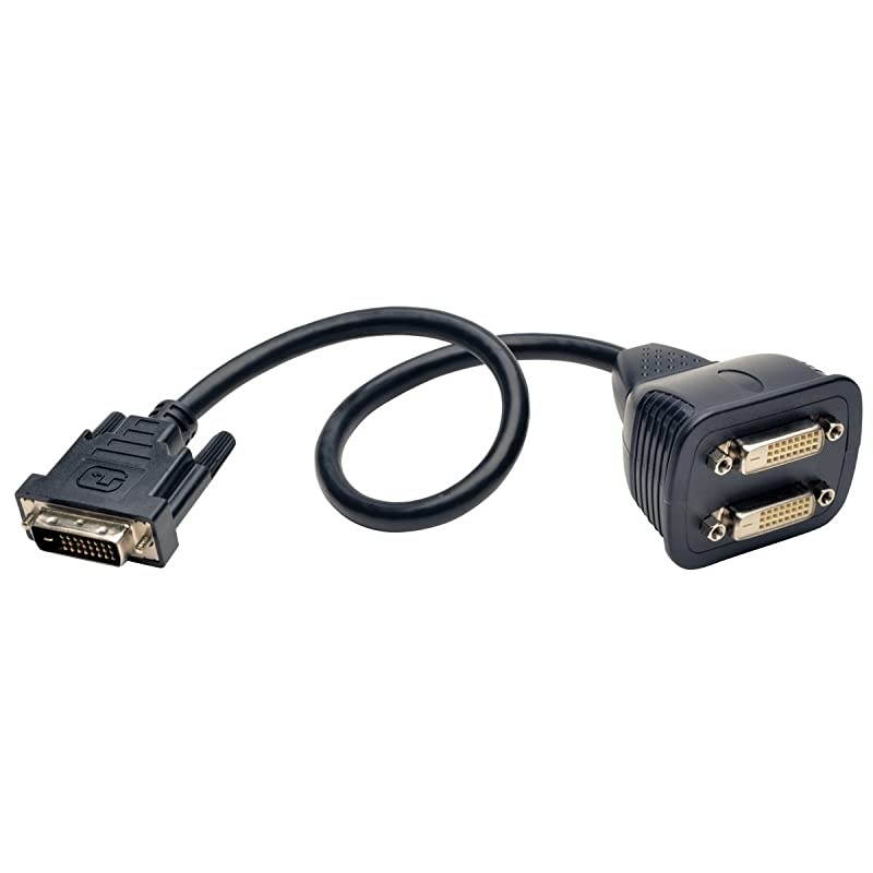 DVI Y Splitter Cable Digital Monitors DVID M to 2x F 1ft P564001