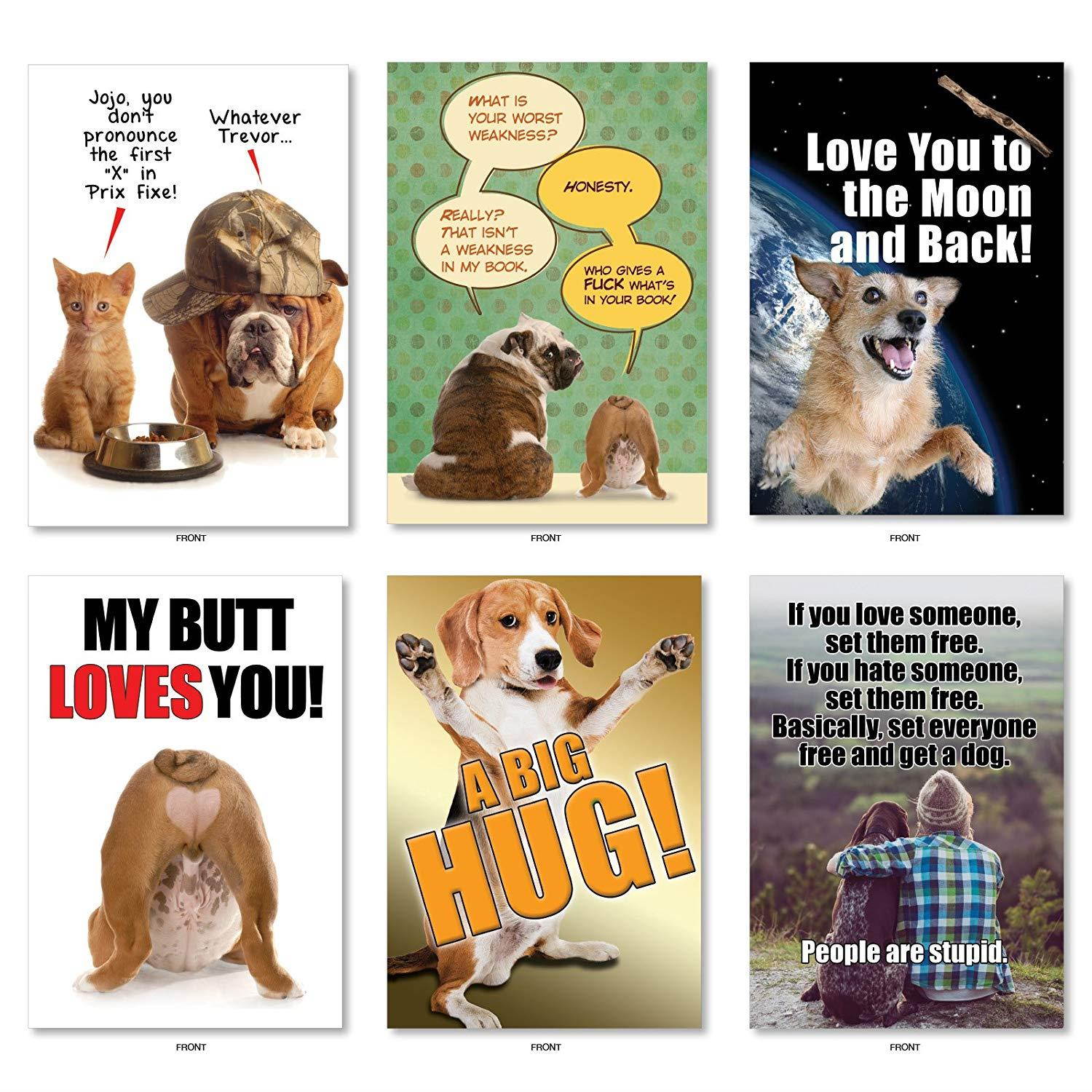 Best Pets Collection': 36 Assorted All Occasions Card With adorable, funny images of cats and dogs, with Envelopes (36 Designs, 1 Card Per Design). AC6654OCB-B1x36