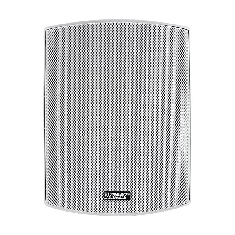 AWS-802W All-Weather Indoor/Outdoor Speaker (Matte White, Single)