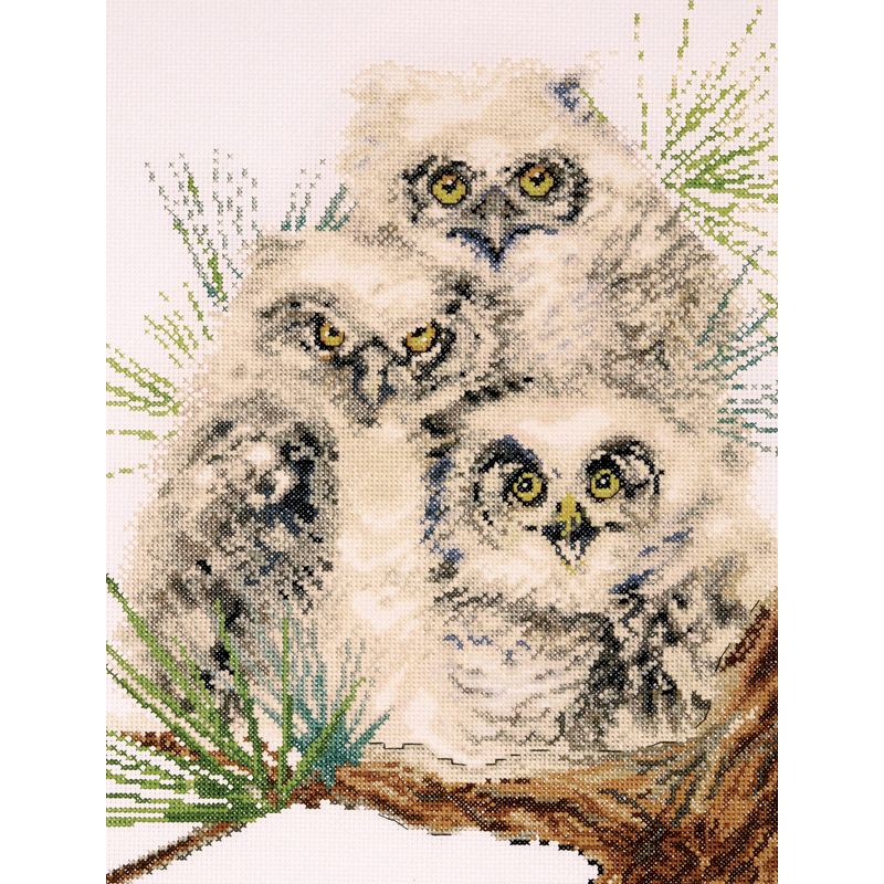 Design Works Counted Cross Stitch Kit 11"X14"-Owl Trio (14 Count)
