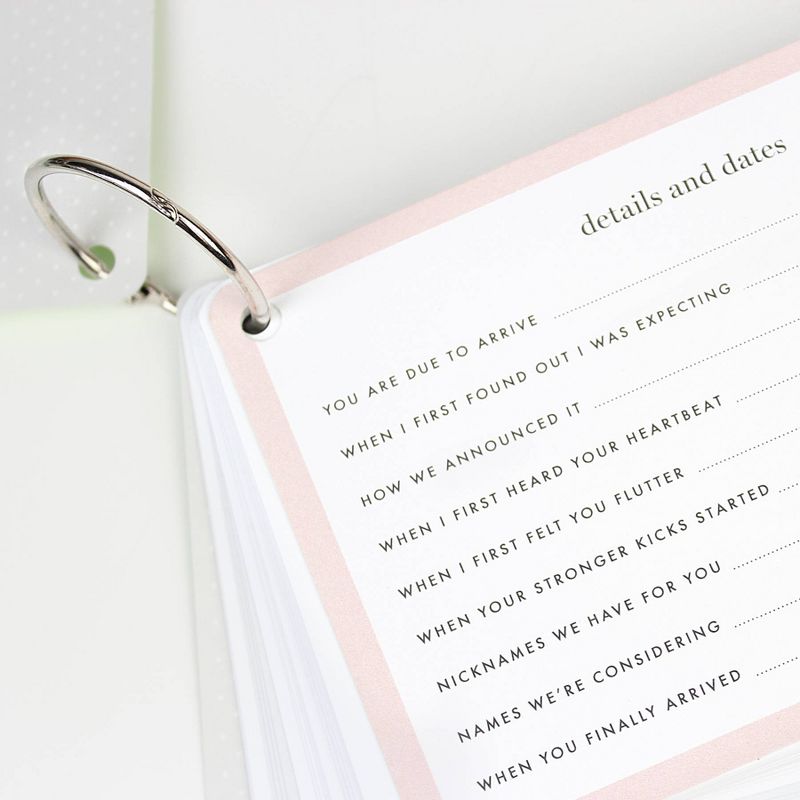 The Baby Bump Journal