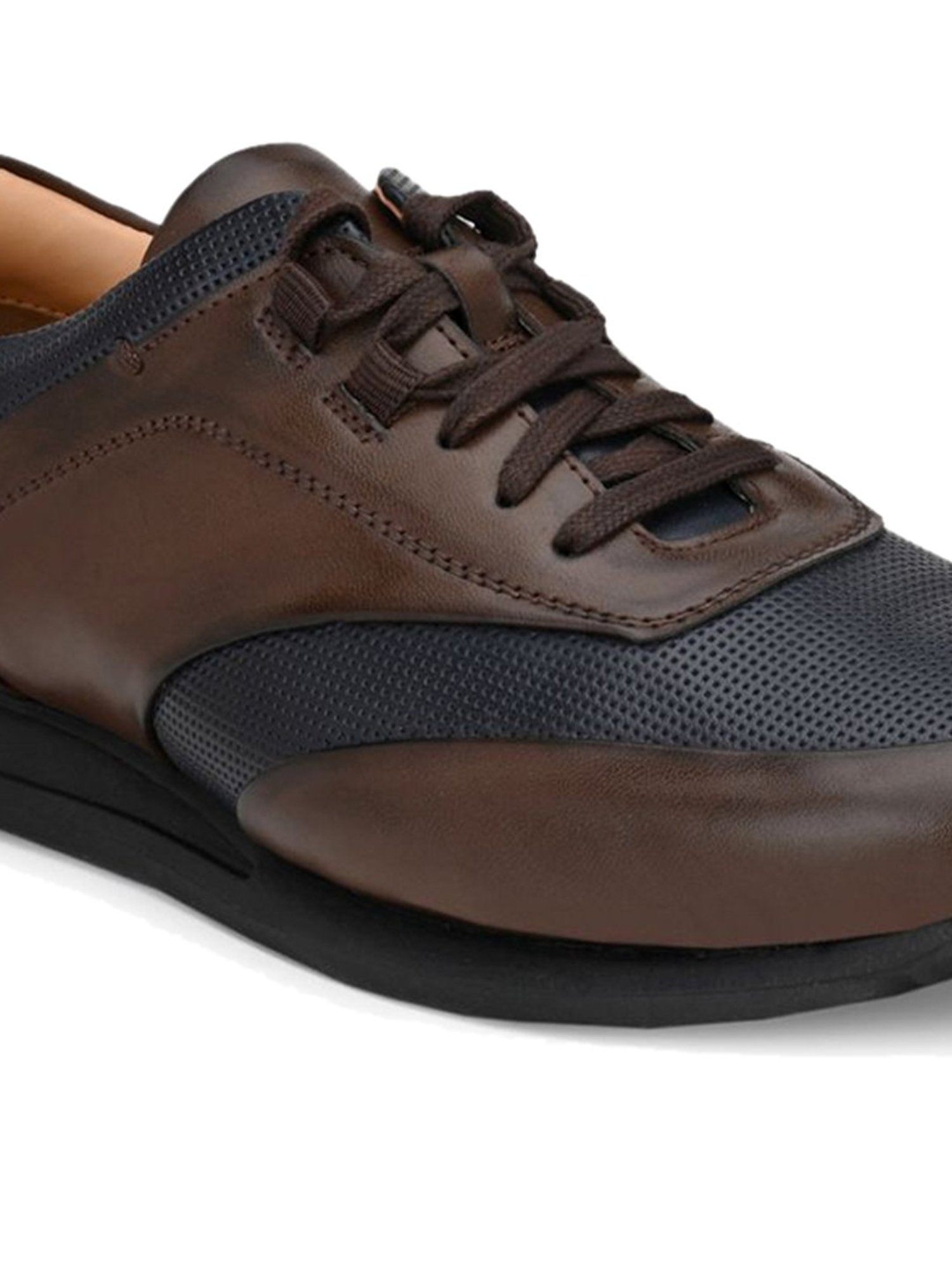 San Frissco Brown & Navy Sneakers