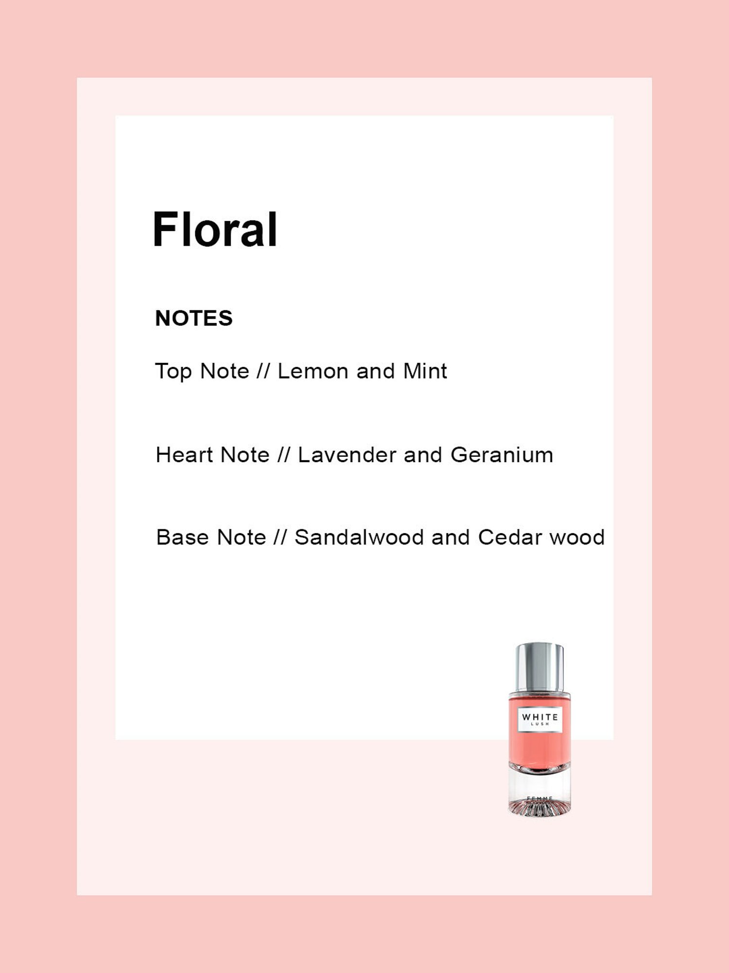 Colorbar Fragrances White Lush EDP for Women - 50 ml