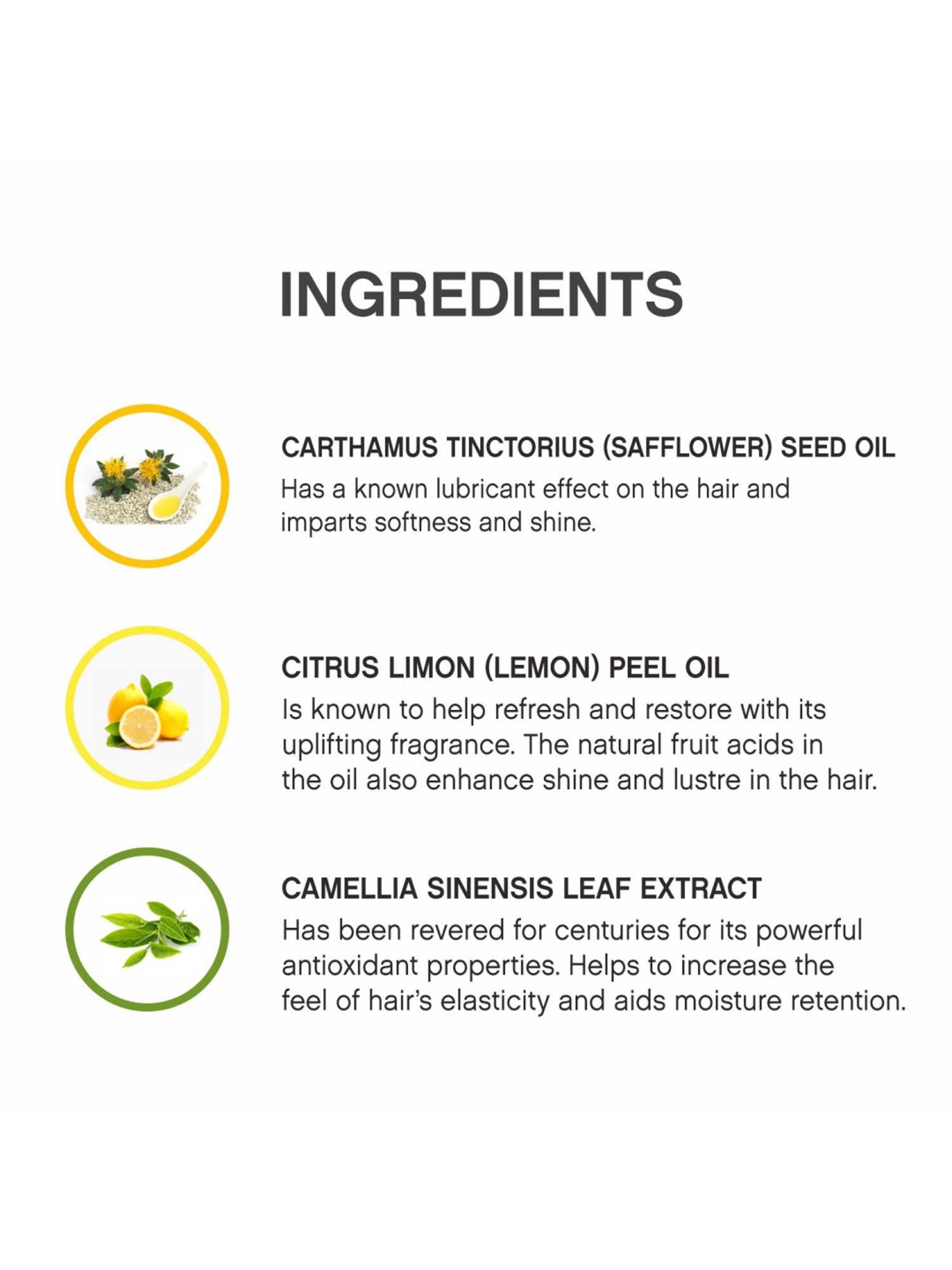 Earthraga Moroccan Argan Hair Oil - 100 ml