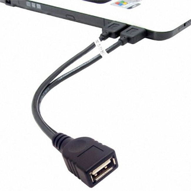 FVH Black USB 2.0 Female A to Dual A Male Extra Power Data Y Extension Cable for 2.5" Mobile Hard Disk U2-231-BK