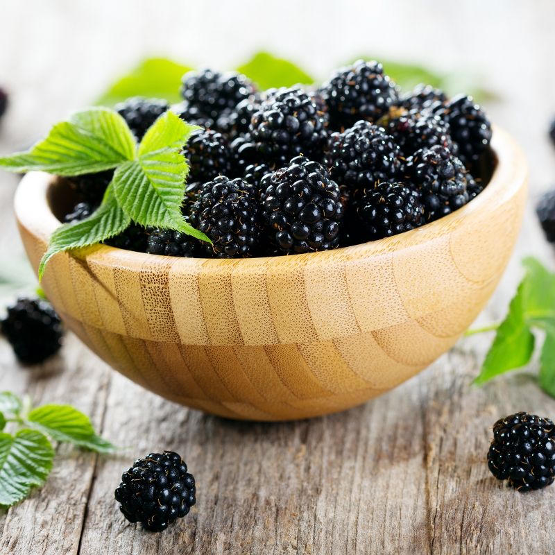 2pc Bushel and Berry Collector's Edition - National Plant Network