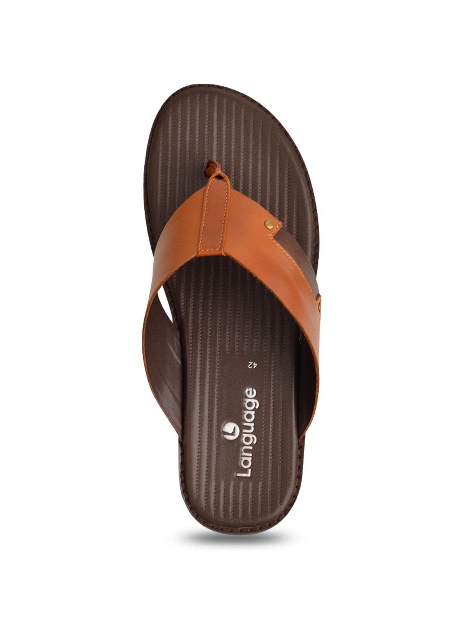 Language Shoes Men's Alex Tan Thong Sandals