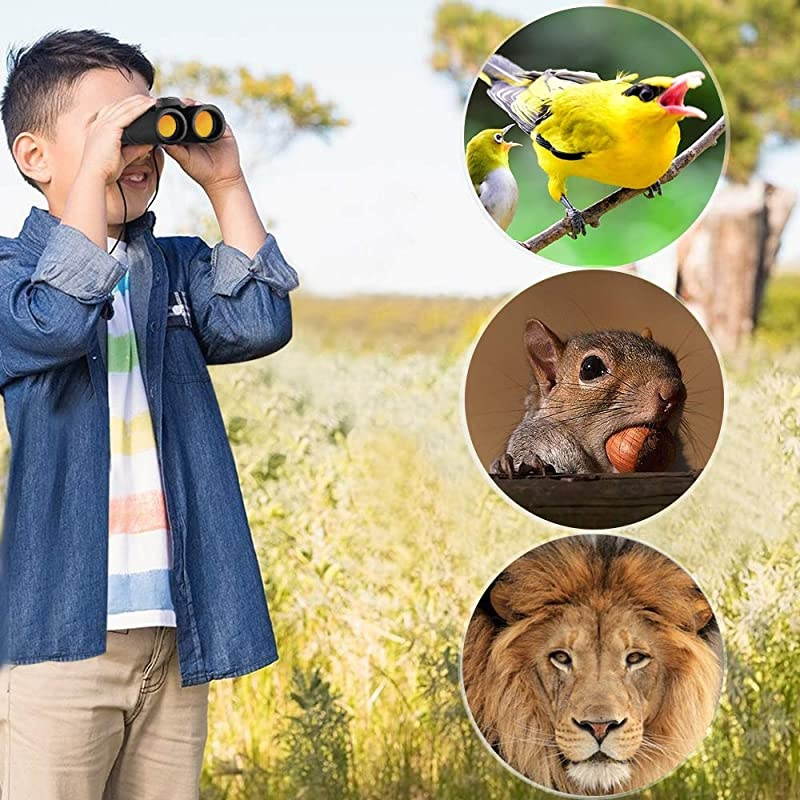 Compact Binoculars Small Folding Binoculars with Night Vision Large Eyepiece Easy Focus for Kids Adults Bird Watching Travel Hunting Concerts Sports Waterproof Telescope with Strap BagBlack