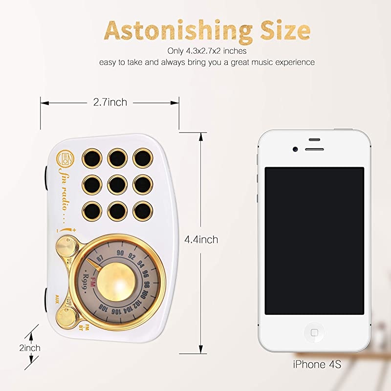 Bluetooth Speaker FM Vintage Radio with Loud Volume Strong Bass Enhancement Bluetooth 42 Wireless Connection TF Card amp MP3 Player