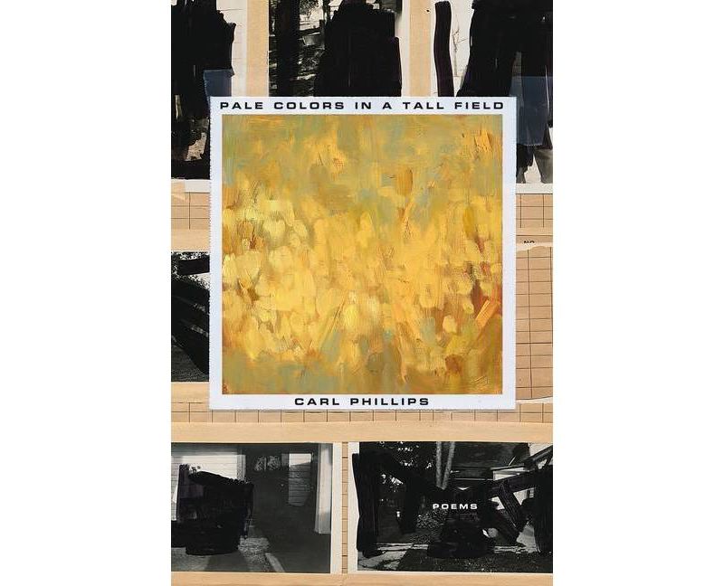 Haiku in English - by  Jim Kacian & Philip Rowland & Allan Burns (Paperback)