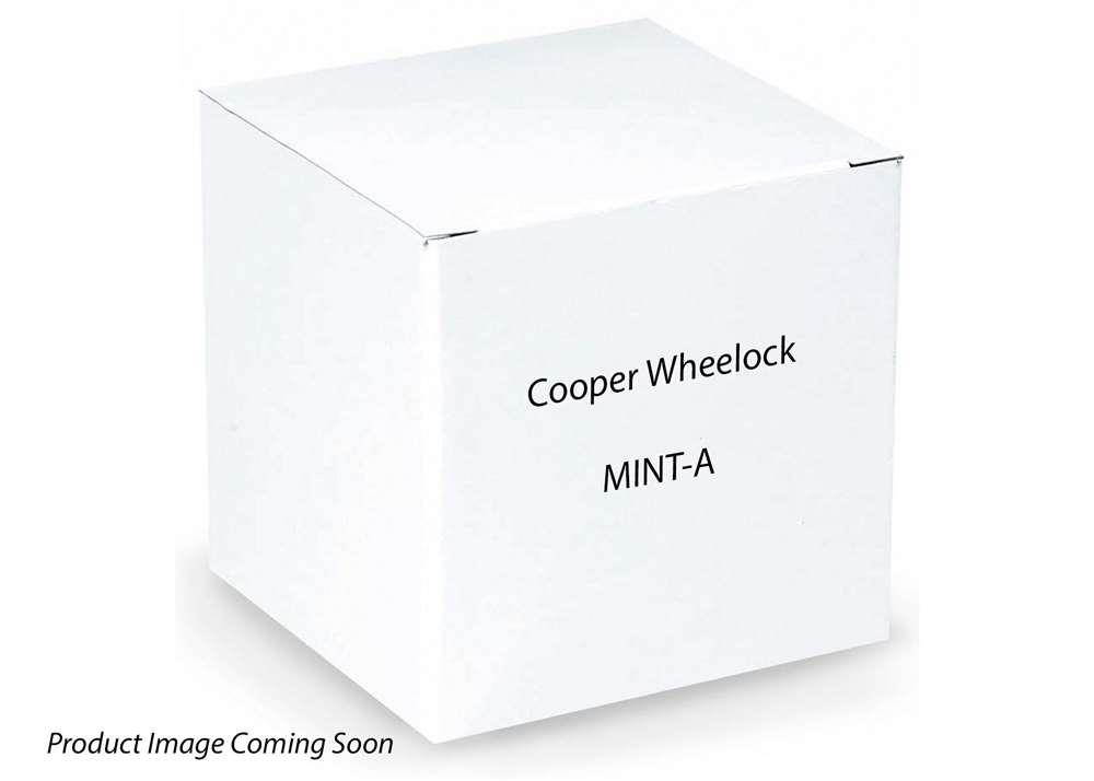 Cooper Wheelock MINT-A