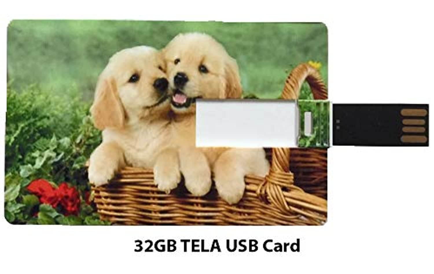 2020 Flagship Lenovo Ideacentre 510A Premium Desktop Computer Intel 4-Core i3-8100 Processor 16GB DDR4 1TB SSD Intel UHD Graphics 630 DVD Wired Keyboard and Mouse Windows 10 Pro | 32GB Tela USB Card