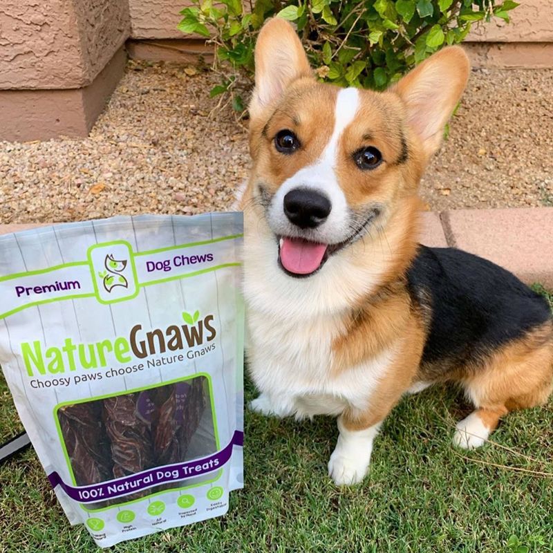 Nature Gnaws Jerky Springs 7-8" Beef Dog Treats- 12ct