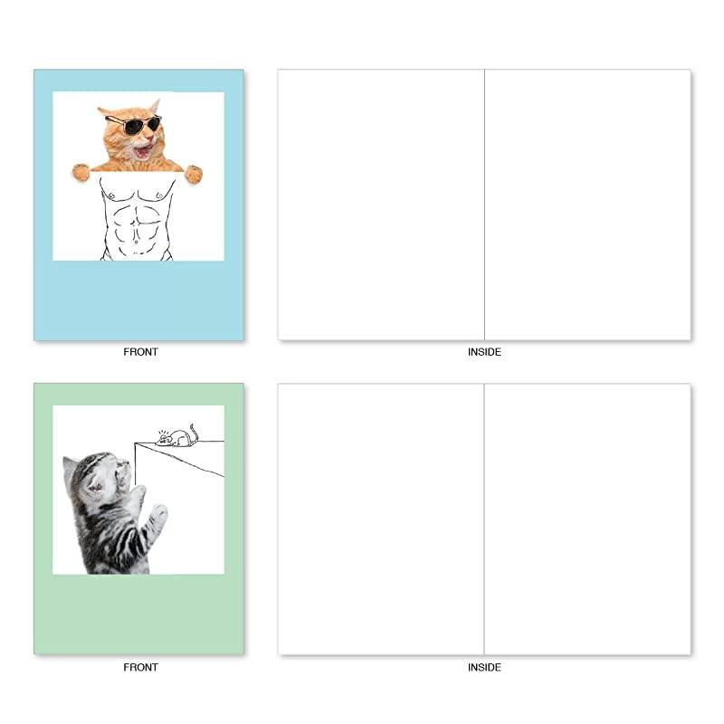 10 All Occasion Blank Cat Cards 4 x 512 Inch Cute Assorted Bulk Card Set Feline Graffiti M6583OCB