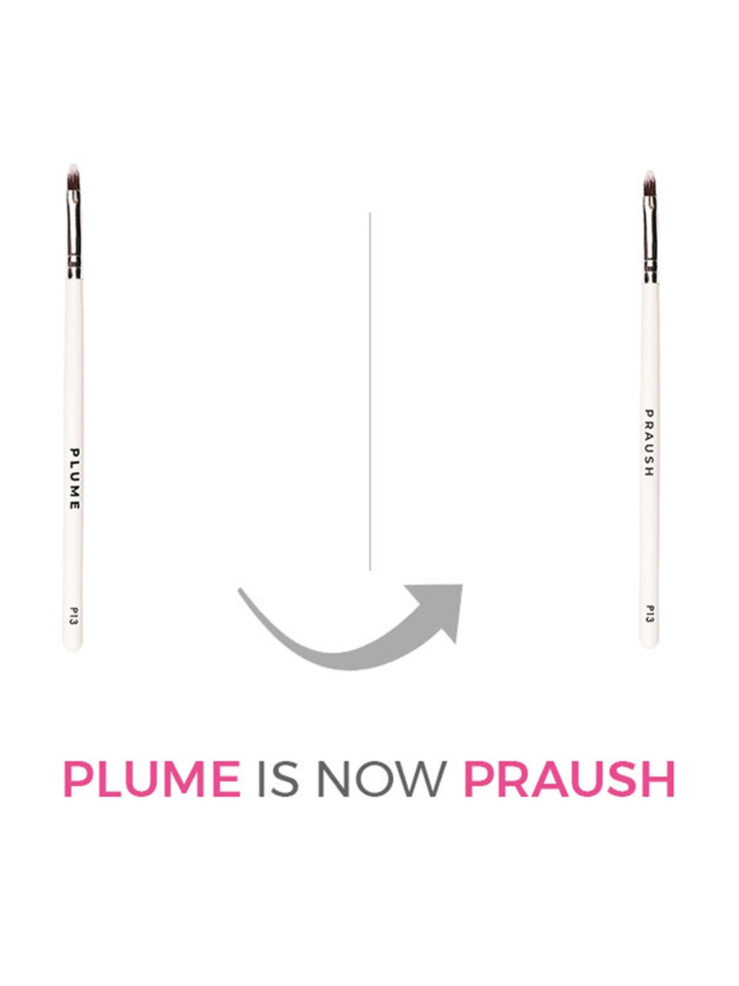 Praush Lip Brush - P13