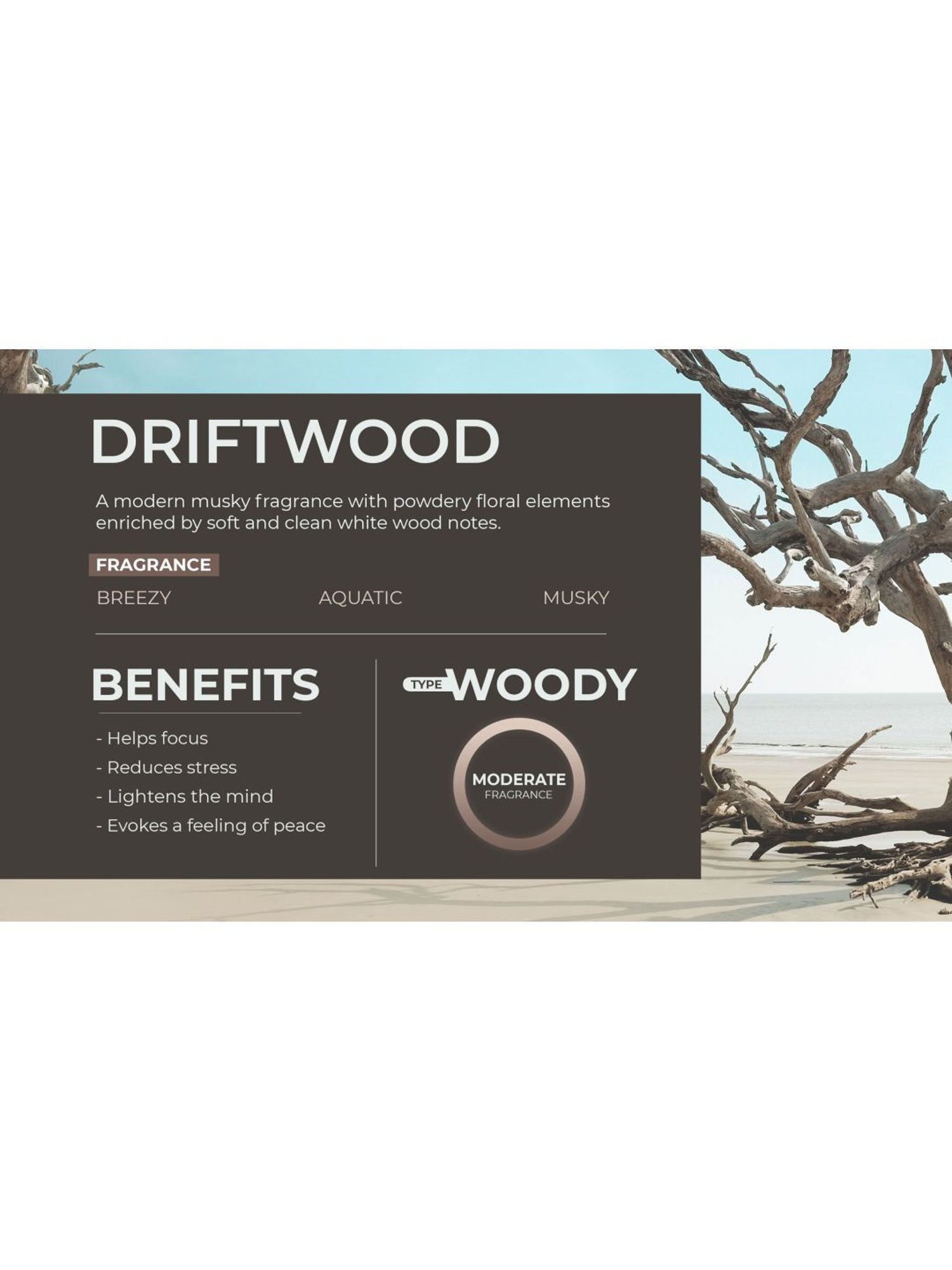 Rosemoore Reed Diffuser set with aroma oil & reed stick driftwood - (200 ml)