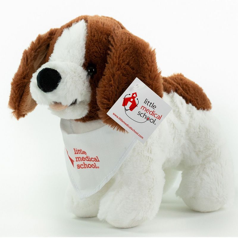 Melissa & Doug Server - Role Play Set