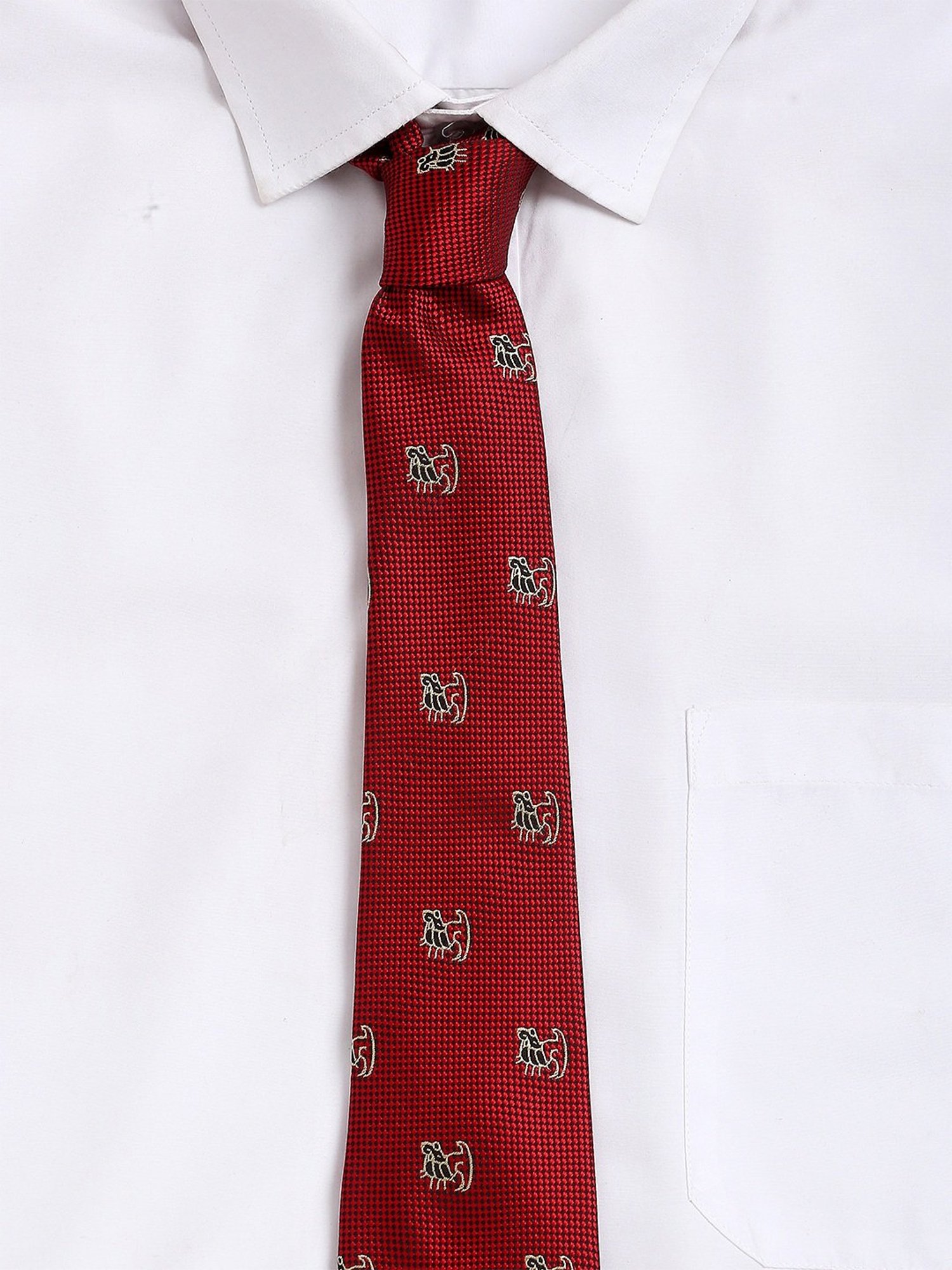 Alvaro Castagnino Red Woven Tie
