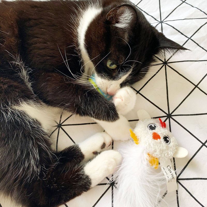 Quirky Kitty Chicken & Tuna Cat Toy