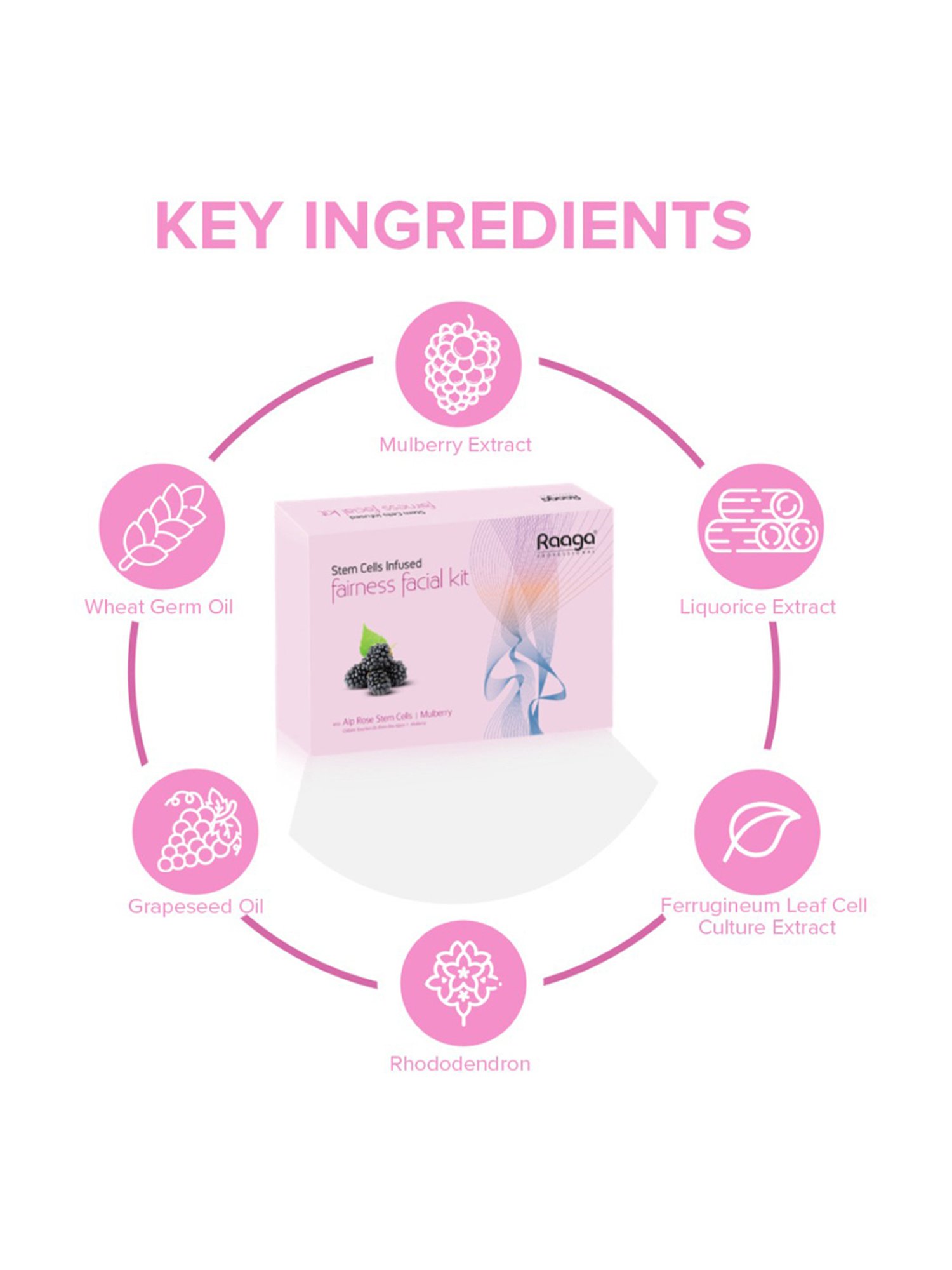 Raaga Professional Stem Cells Infused Fairness Facial Kit