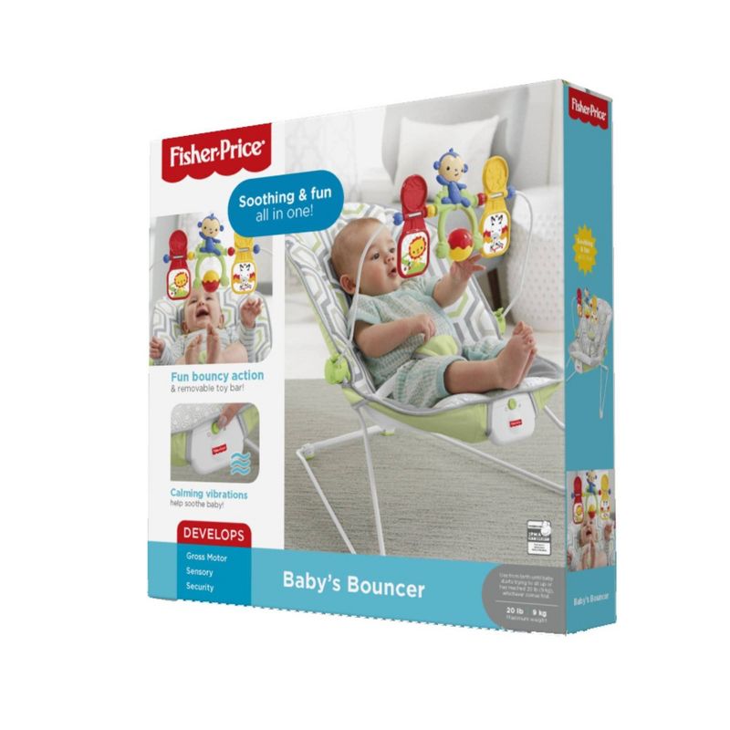 ​Fisher-Price Baby Bouncer