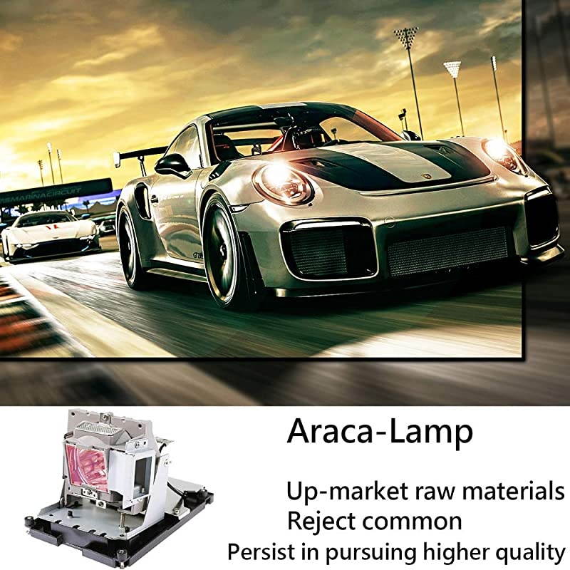 BLFU310B Replacement Projector Lamp with Housing for OPTOMA X600 EH500 DH1017 DH1014 Projector&pound;&uml;Economical&pound;