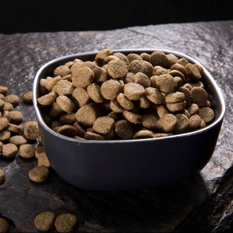 Fancy Feast Petites Braised Chicken Pate Wet Cat Food - 2.8oz