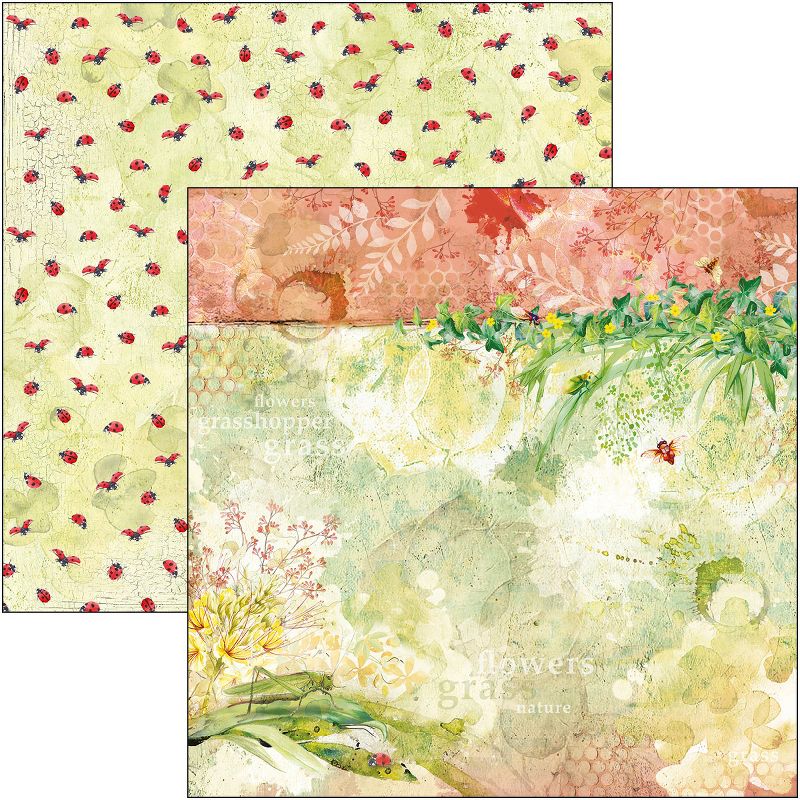 Ciao Bella Double-Sided Paper Pack 90lb 12"X12" 12/Pkg-Microcosmos, 12 Designs/1 Each