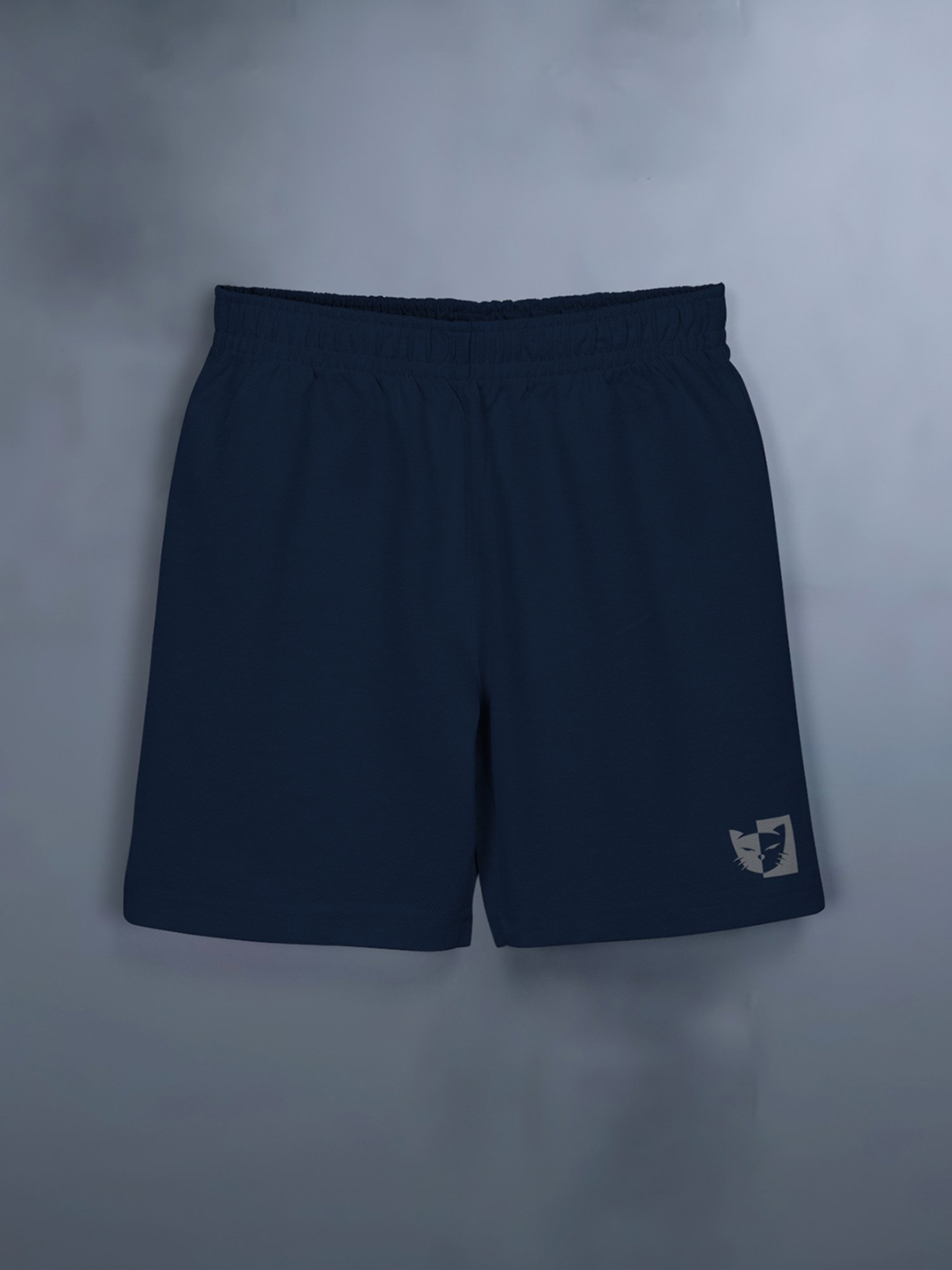 HELLCAT Kids White & Blue Printed T-Shirt with Shorts