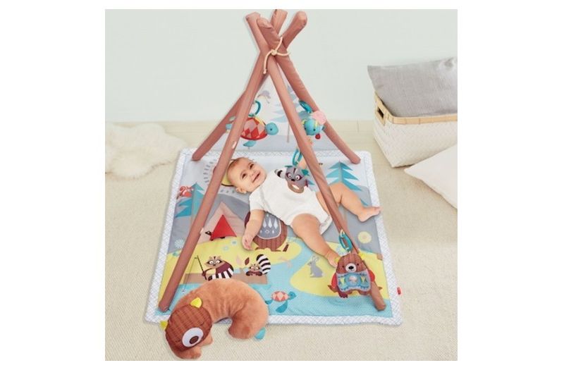 Skip Hop Camping Cubs Activity Gym
