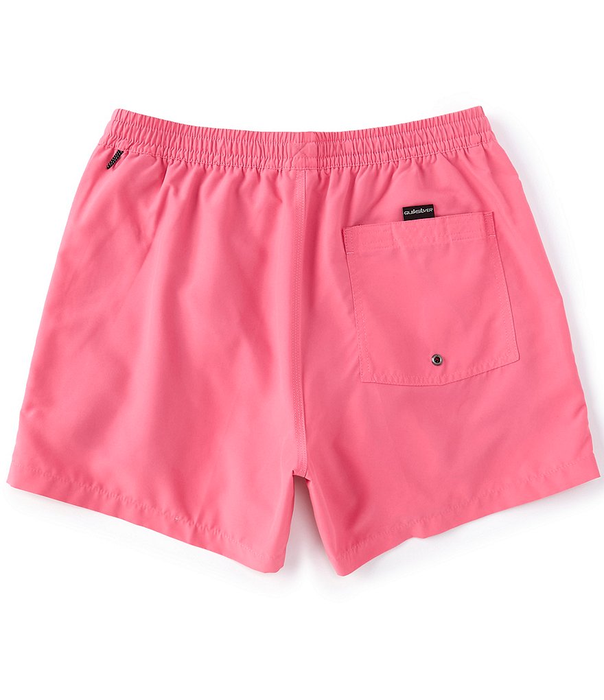 Quiksilver Everyday 15#double; Outseam Volley Shorts