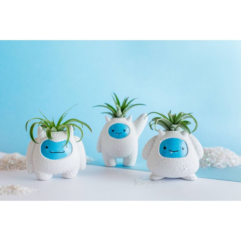 Van Zyverden Roses Mikado Root Stock