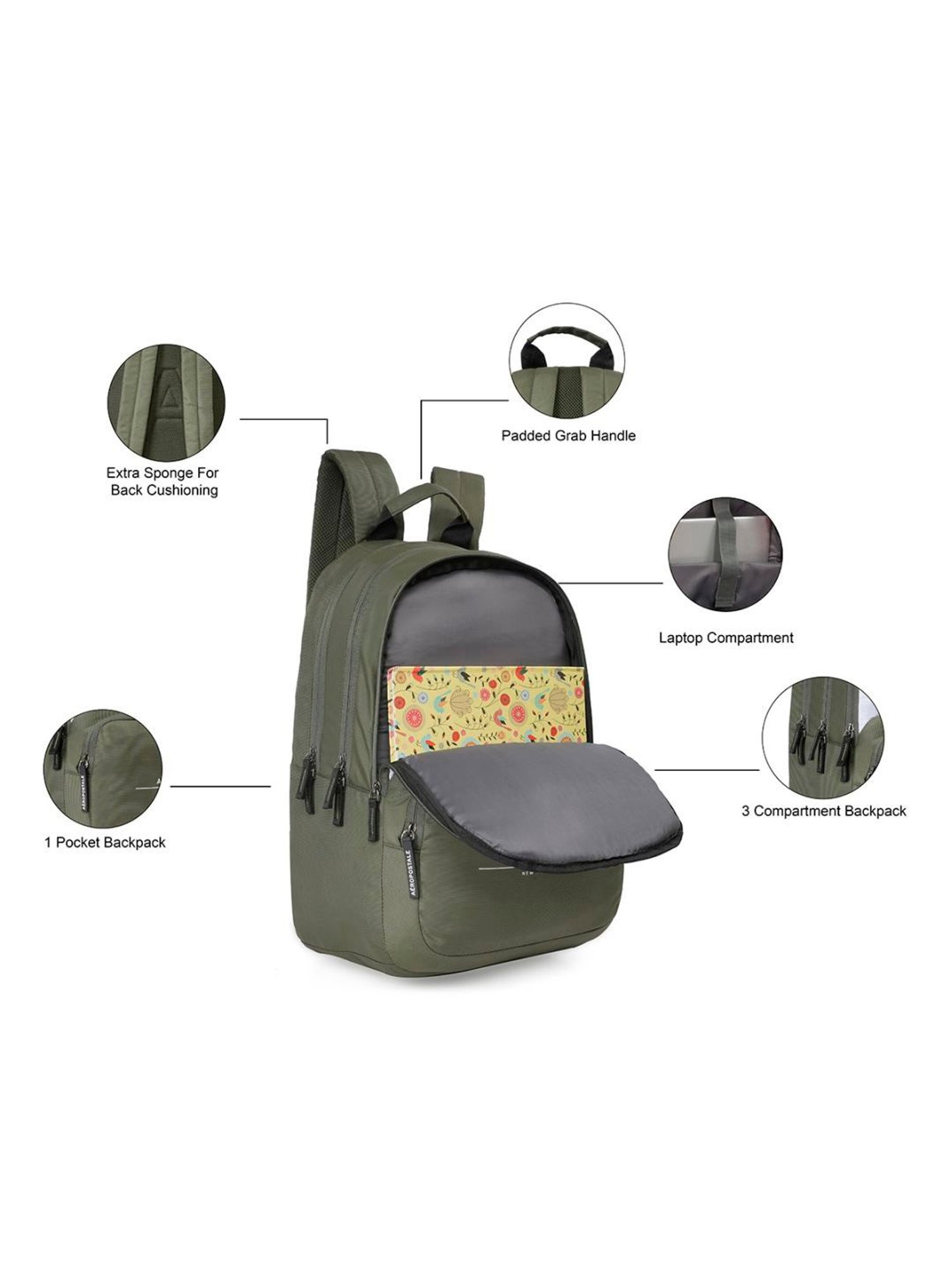 Aeropostale Wilton Olive & Off White Polyester Color Block Laptop Backpack - 24 Ltrs