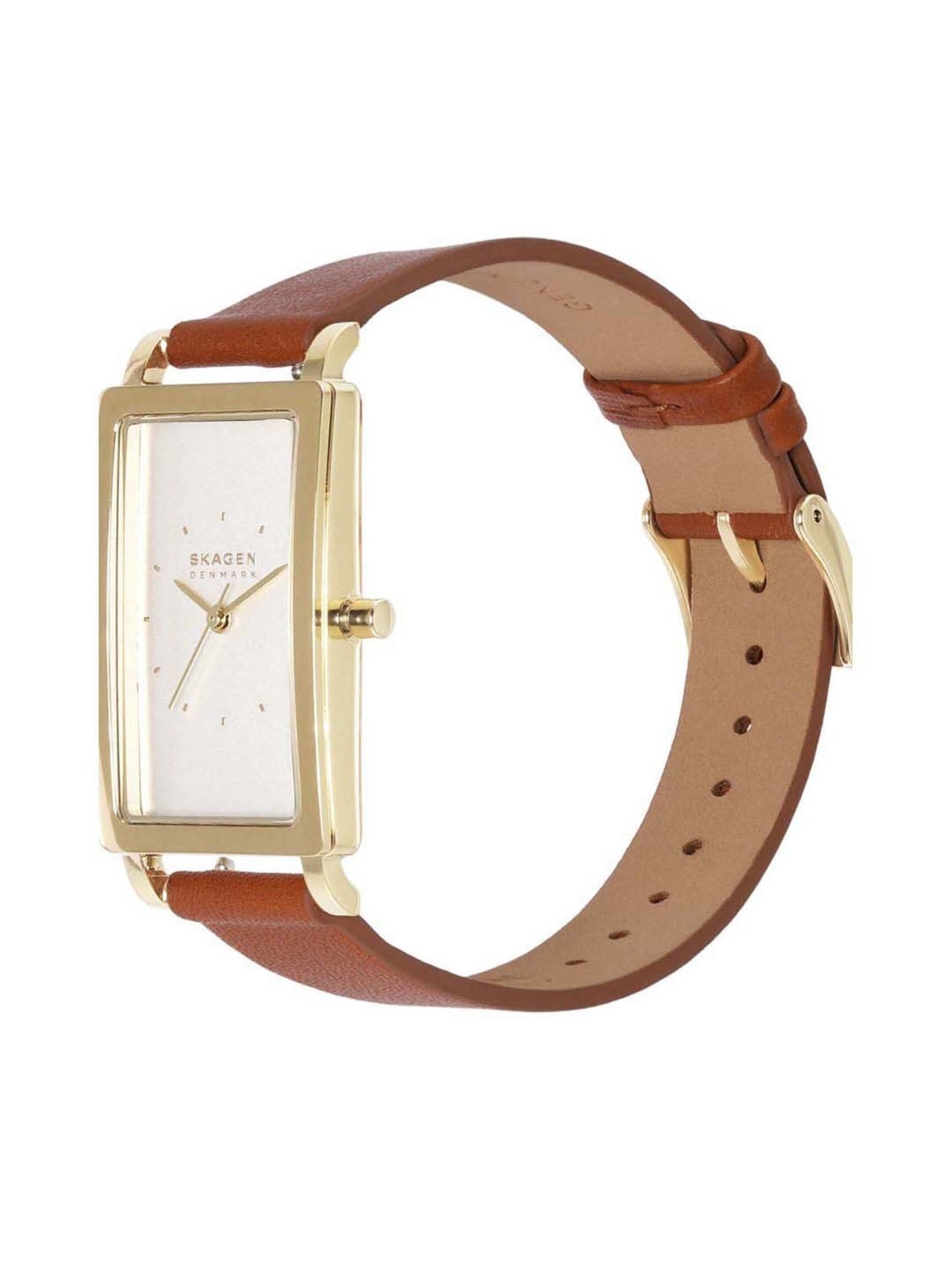 Skagen SKW3097 Analog Watch for Women