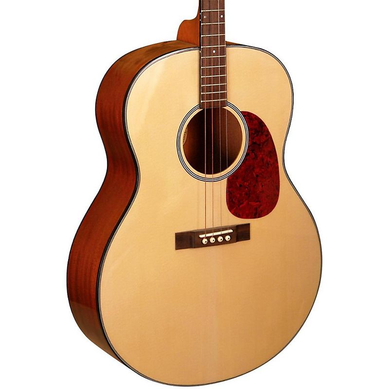 Luna Guitars Gypsy Muse Acoustic Guitar Package