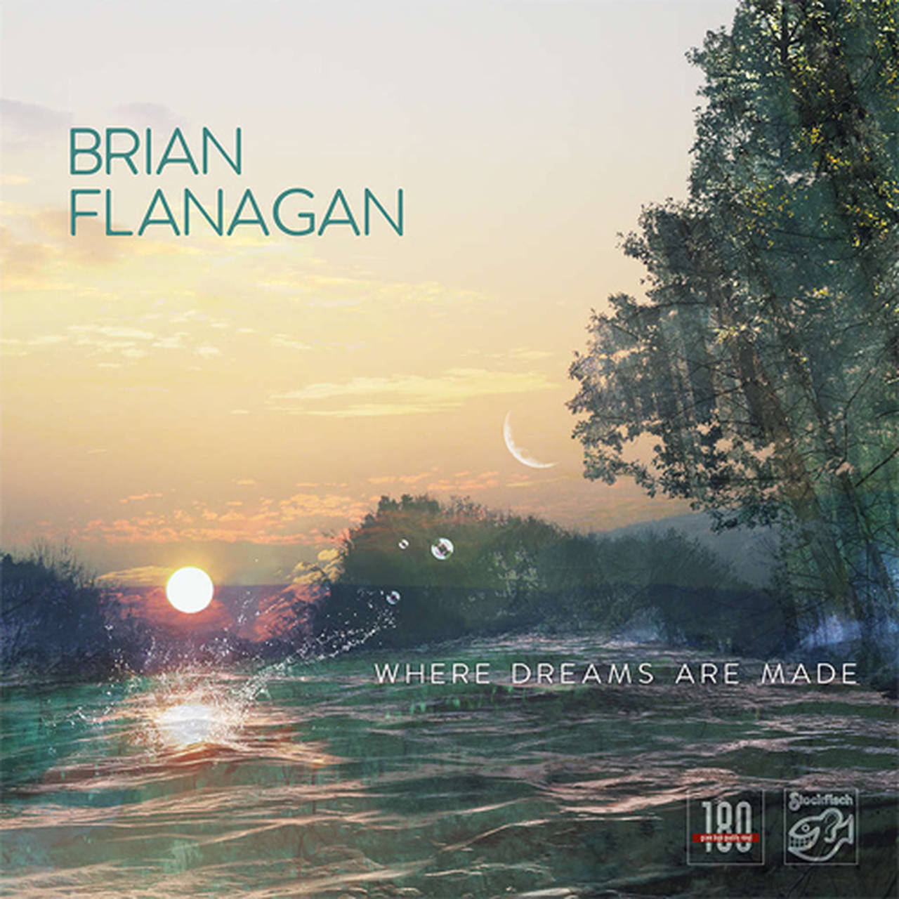 Brian Flanagan Where Dreams Are Made 180g LP (Vinyl)