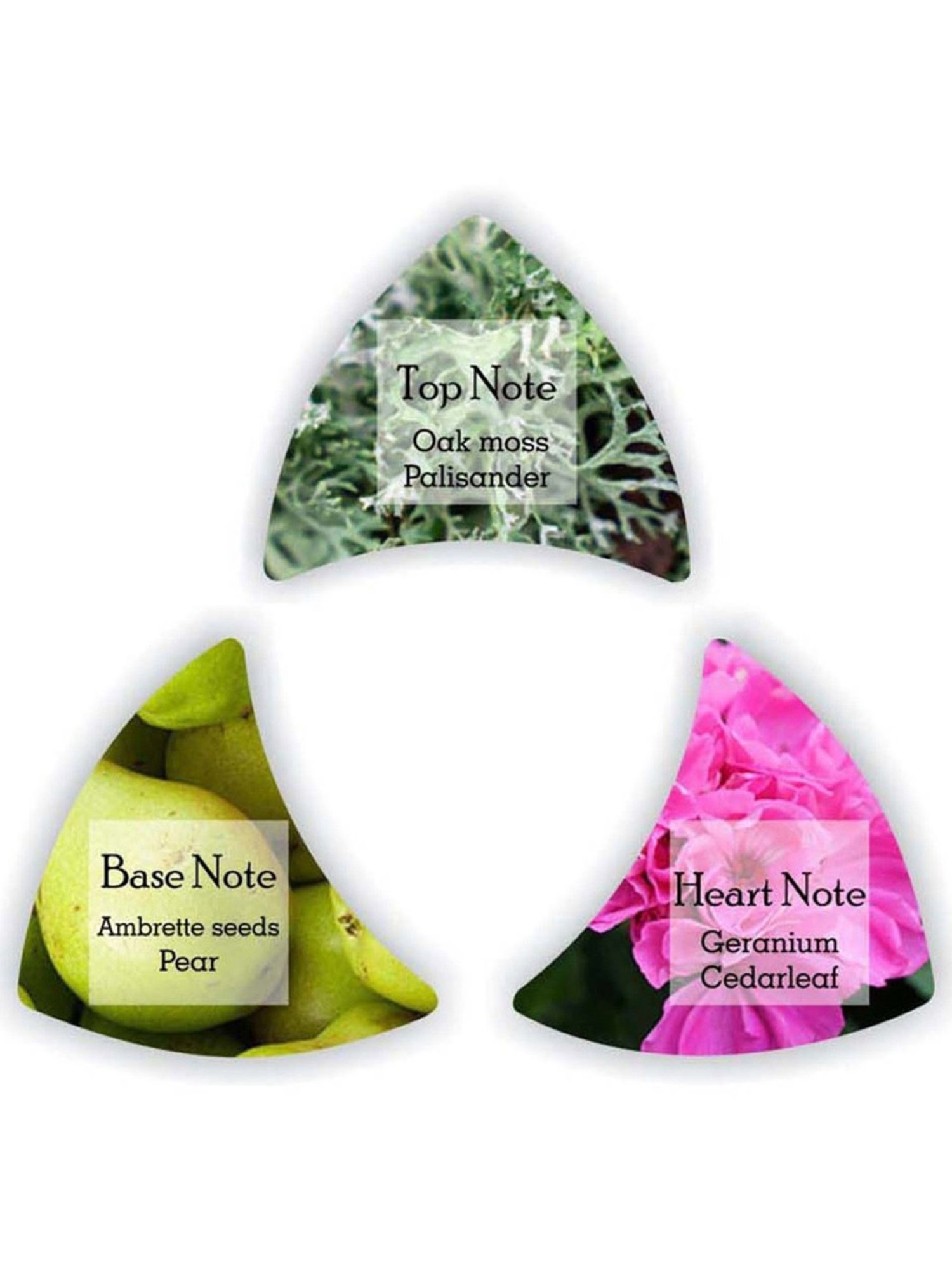 Adiveda Natural Perfume Tester Set of 7 for Women