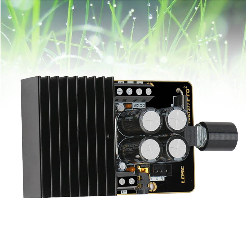 12V Dual Channel Stereo Power Amplifier Module Amplifier Board(Black)