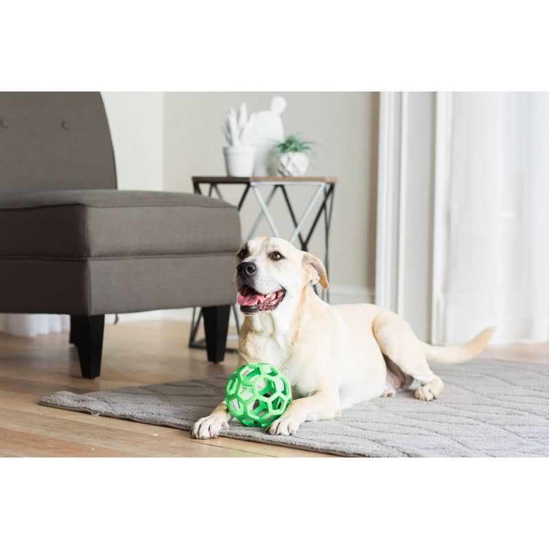 JW Hol-ee Roller Dog Toy - M