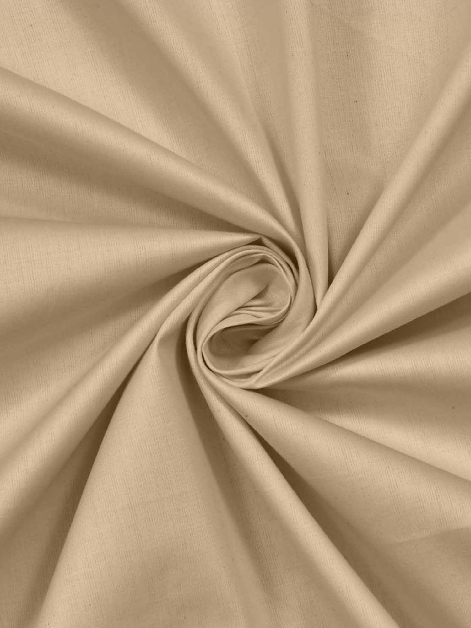 Haus & Kinder Solid Beige 300 TC Cotton Bed Sheet with 2 Pillow Covers